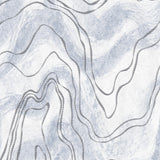 Blue Flow Lines  72504-2