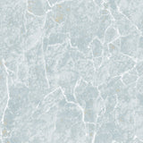 Blue Marble   72524-3