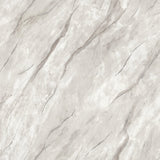 Classic Grey Marble 10233-2