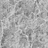 Grey, White   72524-4