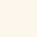 Ivory Chevron Texture  10311-2