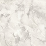 Light Grey Marble Texture 10258-7