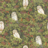 Owl Nest  10305-1