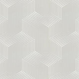 Silver Maze  10316-2