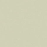 Speckle Sage  72512-4