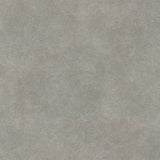Steel Shadow  10306-5