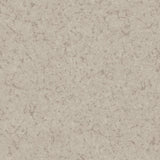 Stone Grey  10321-4