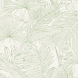 Tropical Mint   72520-4