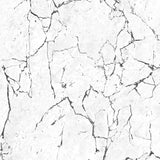 White Marble   72524-1